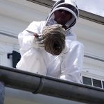 Rochester Pest Pro