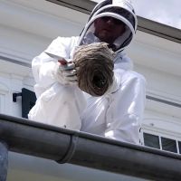 Rochester Pest Pro ico