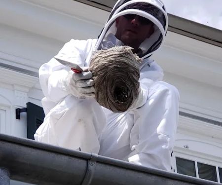 Rochester Pest Pro