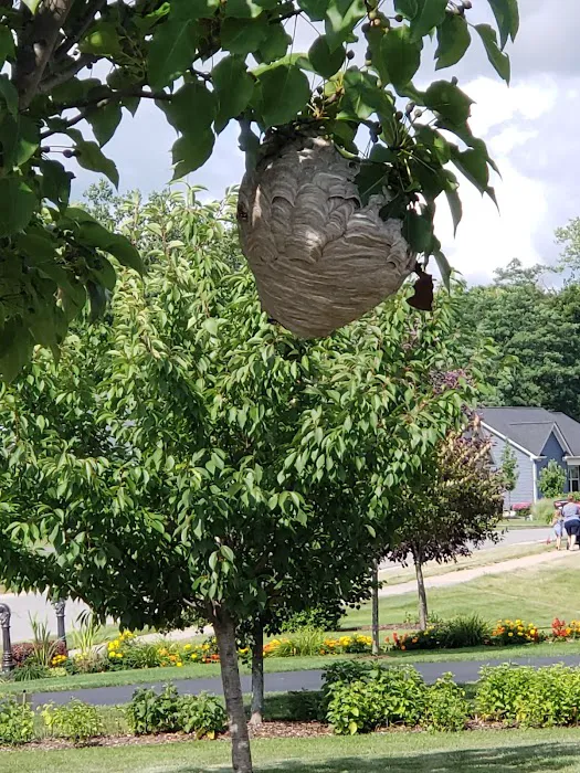 Rochester Pest Pro Picture 10