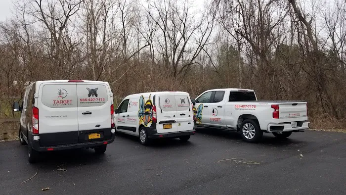 Target Pest Control Picture 9