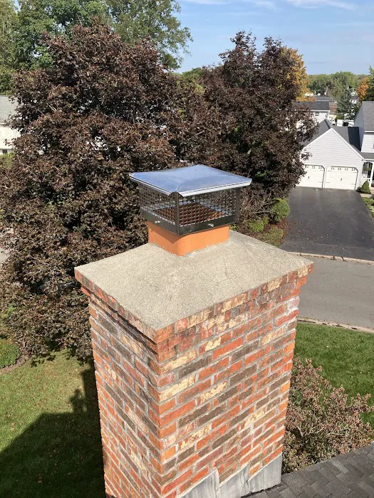 Nocturnal Wildlife Control LLC Picture 10