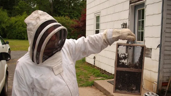Abatem Exterminating Picture 7