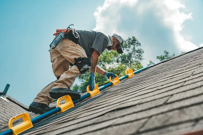 Complete Pest Solutions of Central Massachusetts Picture 4