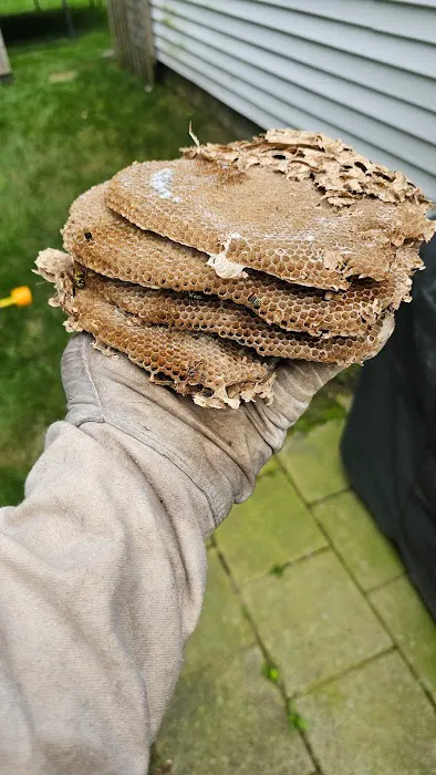 Complete Pest Solutions of Central Massachusetts Picture 3
