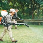 Complete Pest Solutions of Central Massachusetts