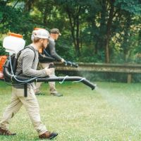 Complete Pest Solutions of Central Massachusetts ico