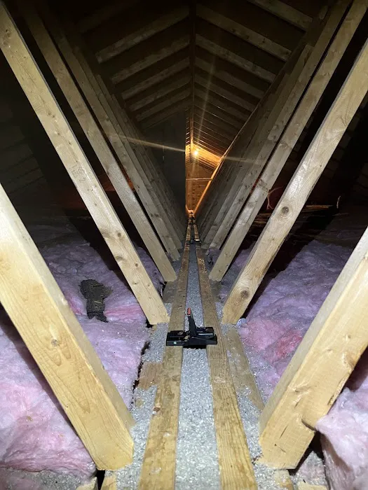 Ahearn Pest Solutions Picture 8