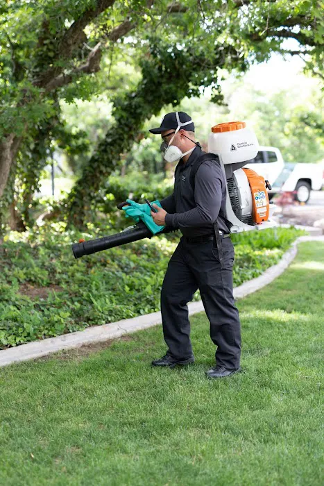 Wiggin Pest Services Picture 1