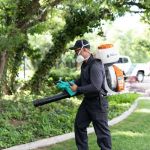 Wiggin Pest Services