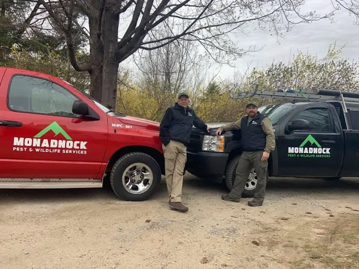 Monadnock Pest & Wildlife LLC Picture 2