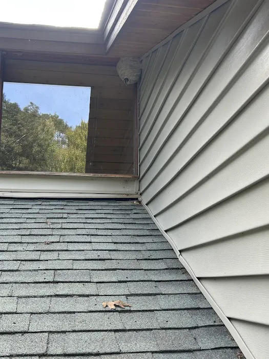 Peppermint Pest Control Picture 5