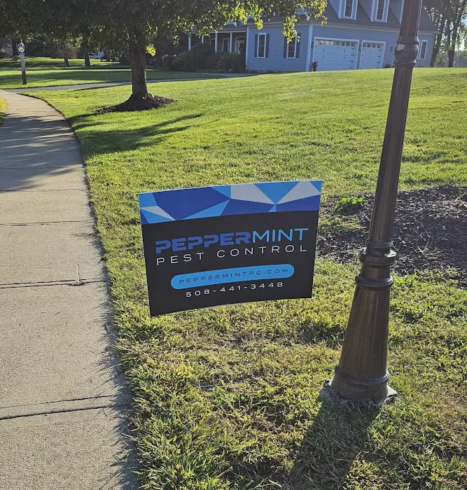 Peppermint Pest Control Picture 3
