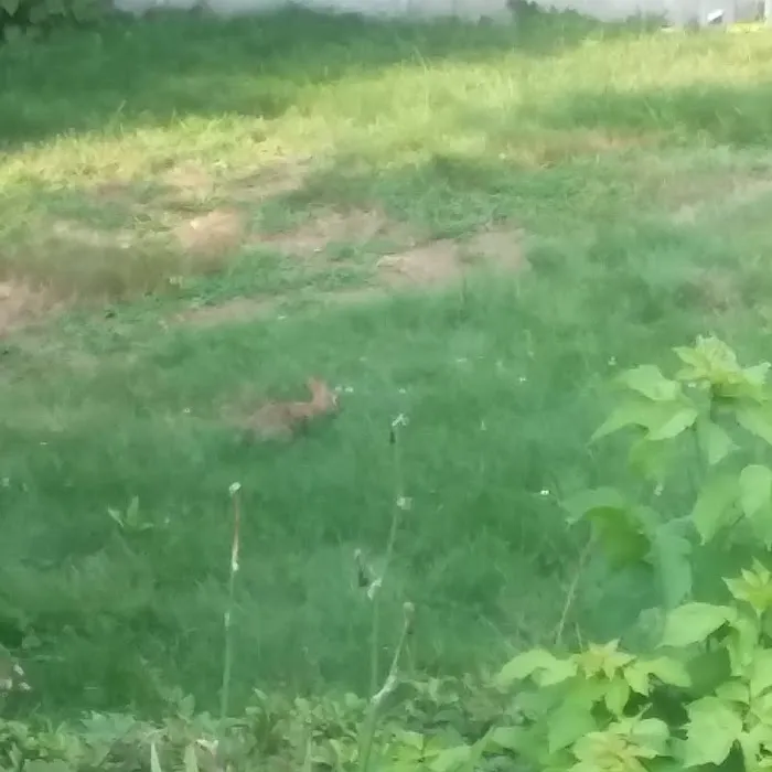 Metterville Pest Management LLC Picture 3