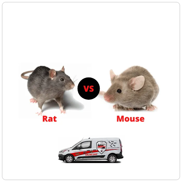 Montachusett Pest Control Picture 10
