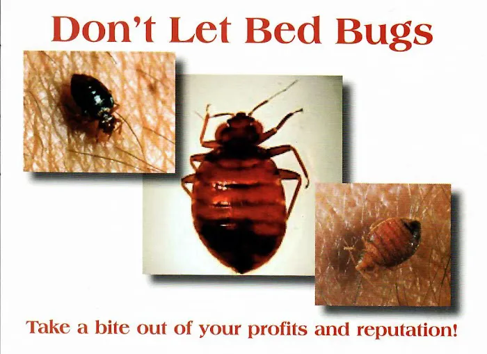 Montachusett Pest Control Picture 8