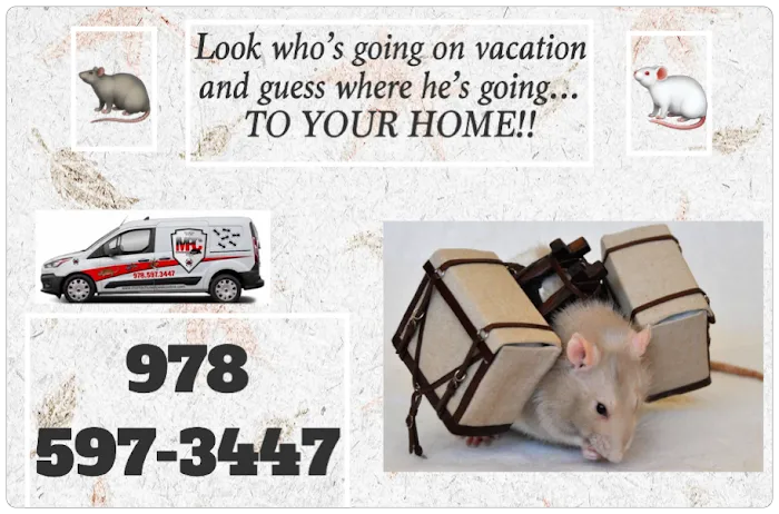 Montachusett Pest Control Picture 9