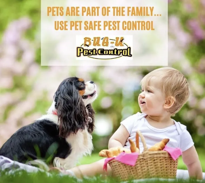 Bug-U Pest Control LLC - Upstate, NY Picture 9