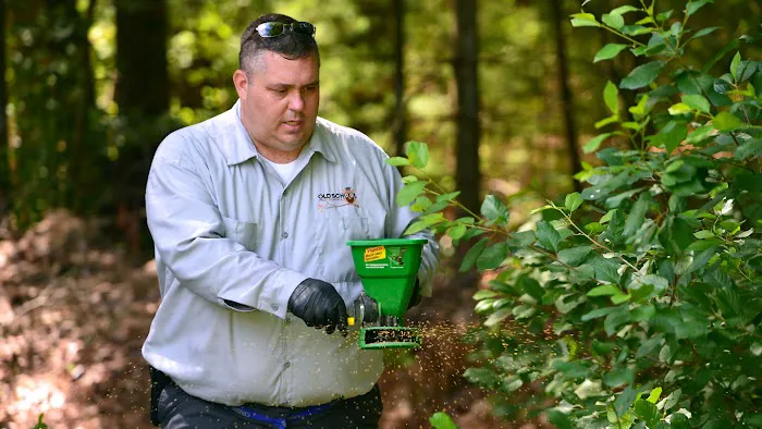 Old School Pest Control Picture 6