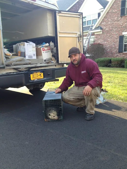 Meerkat Pest Control Picture 5