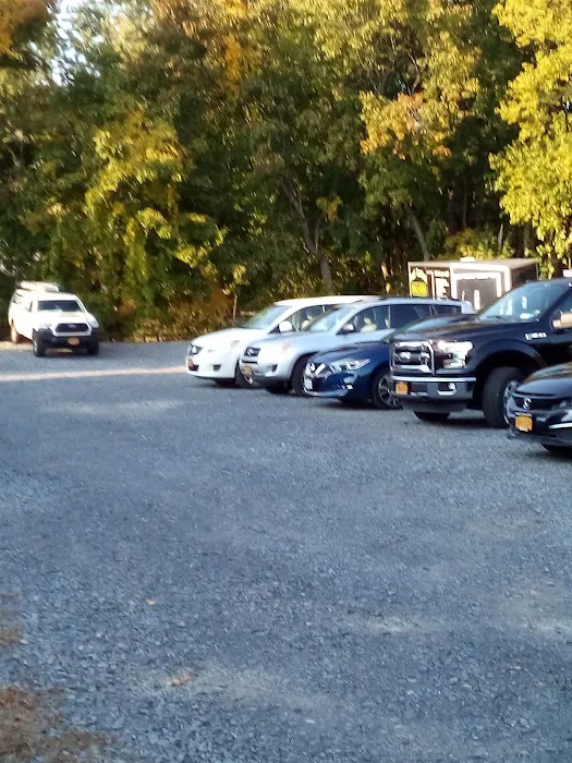Nature's Way Pest Control - Upstate NY Picture 4