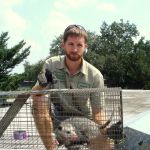 Saratoga County Wildlife Removal