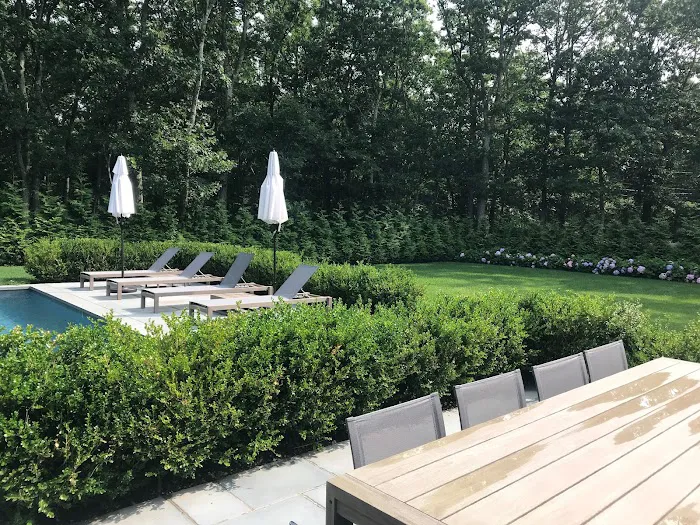 Arbortech Tree & Lawn Care Picture 4