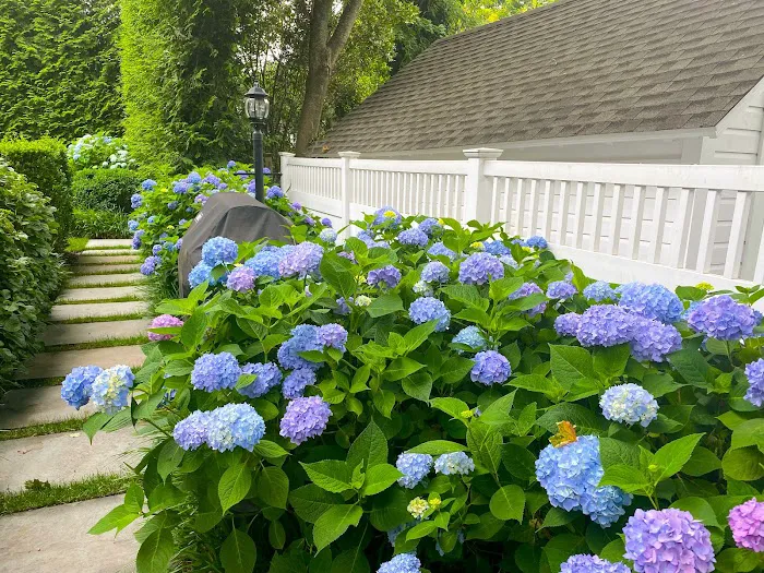 Arbortech Tree & Lawn Care Picture 6