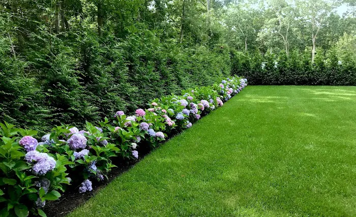 Arbortech Tree & Lawn Care Picture 1