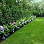 Arbortech Tree & Lawn Care