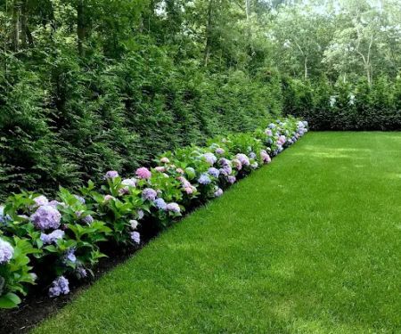 Arbortech Tree & Lawn Care