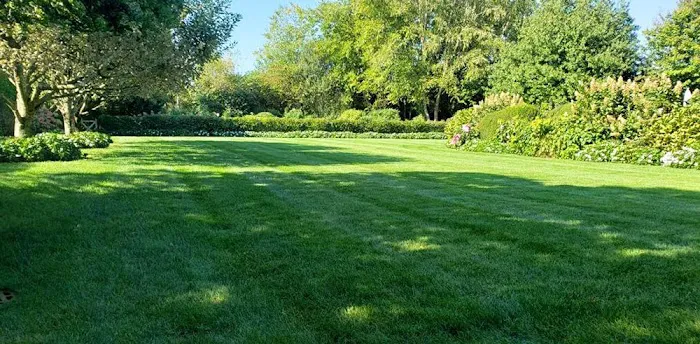 Arbortech Tree & Lawn Care Picture 8