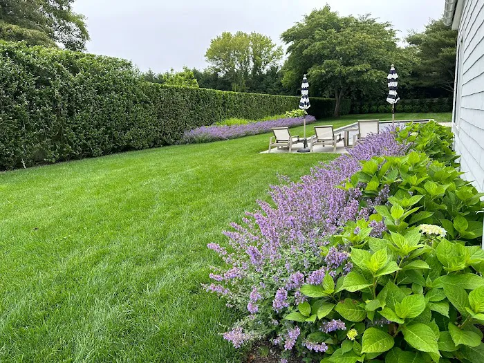 Arbortech Tree & Lawn Care Picture 9