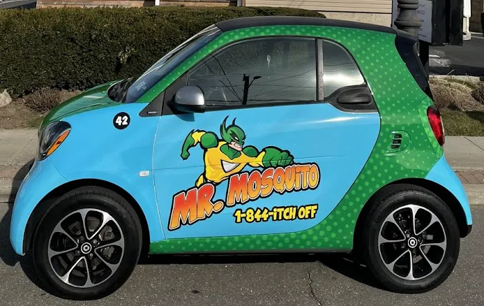 Mr. Mosquito Picture 4