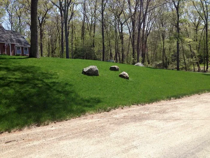 MissionGreen Services, Inc. Picture 6