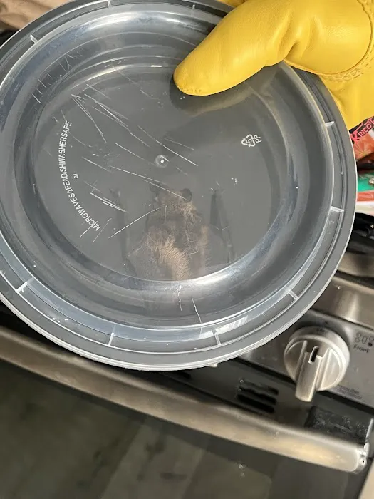 Eliminate 'Em Pest Control Services, LLC Picture 4