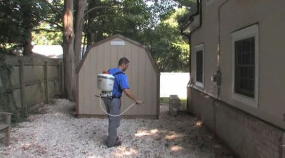 Eliminate 'Em Pest Control Services, LLC Picture 3