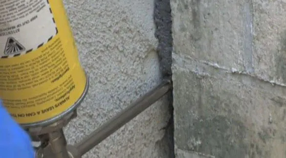 Eliminate 'Em Pest Control Services, LLC Picture 5