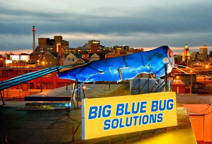 Big Blue Bug Solutions Picture 8