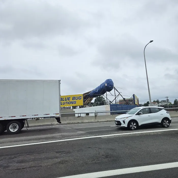 Big Blue Bug Solutions Picture 4