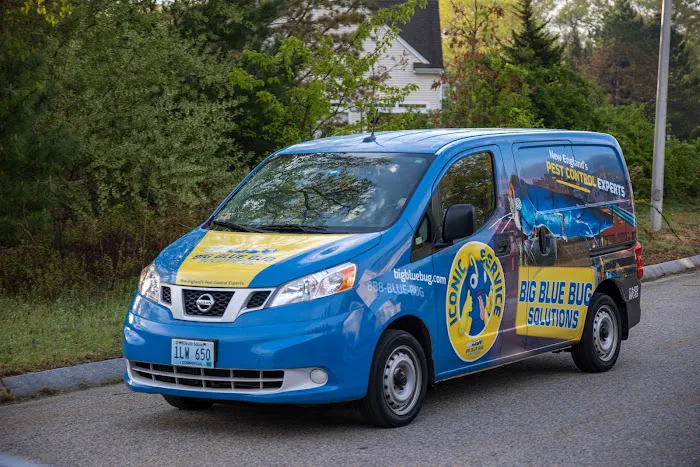 Big Blue Bug Solutions Picture 3
