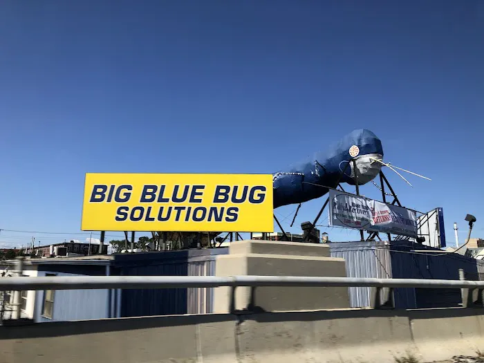 Big Blue Bug Solutions Picture 9