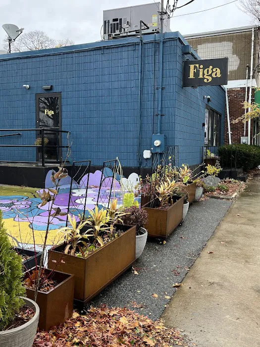 Debug Pest Control - East Providence Picture 5