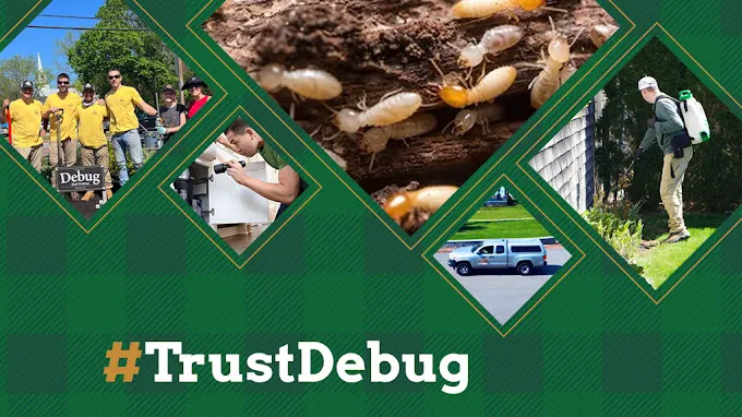 Debug Pest Control - East Providence Picture 7