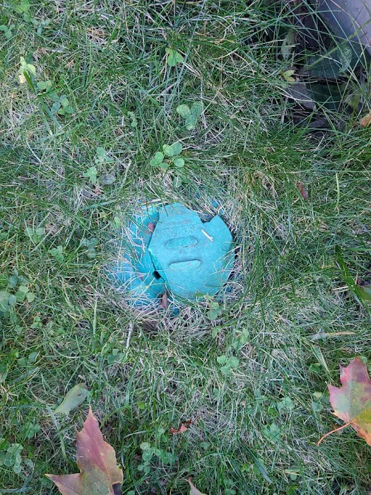 Debug Pest Control - East Providence Picture 6