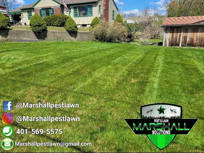 Marshall Pest & Lawn Solutions Picture 3