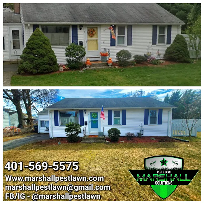 Marshall Pest & Lawn Solutions Picture 4