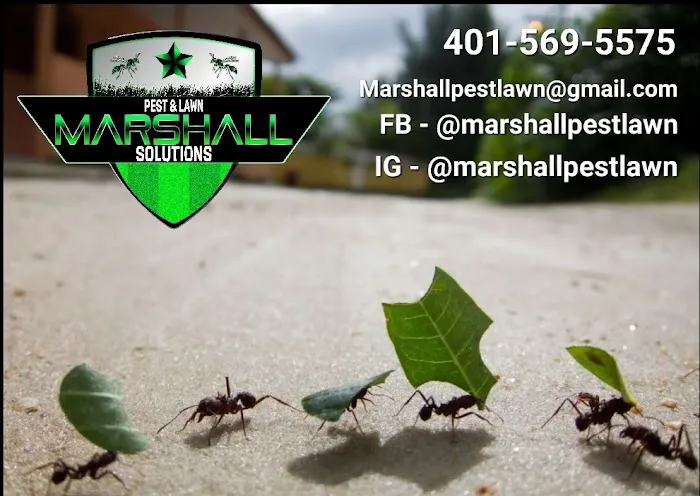Marshall Pest & Lawn Solutions Picture 1