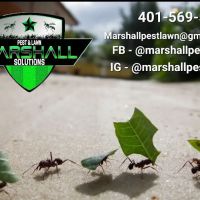 Marshall Pest & Lawn Solutions ico