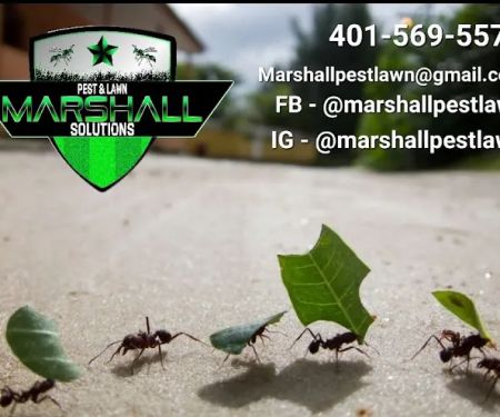 Marshall Pest & Lawn Solutions